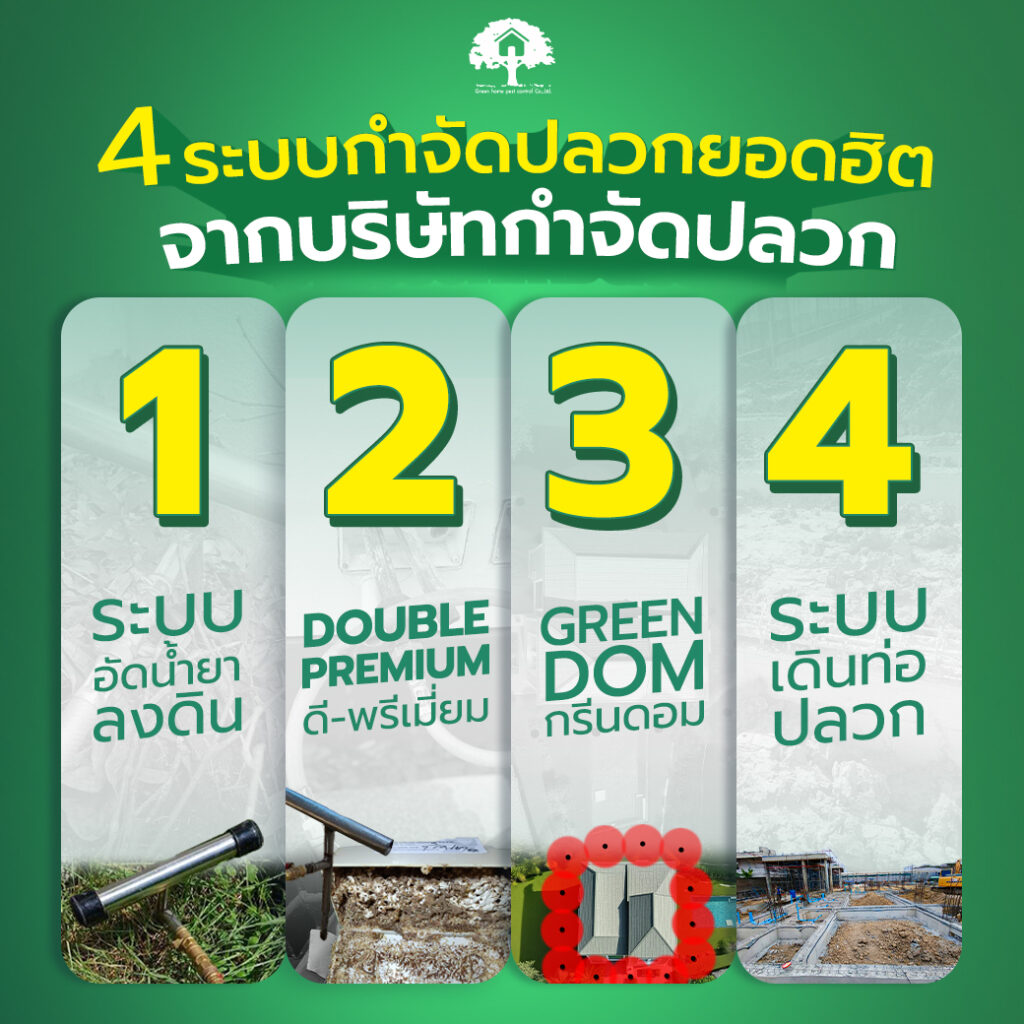 กำจัดปลวกอย่างมืออาชีพ-ด้วย-4-ระบบที่ได้รับความนิยมสูงสุดจากบริษัทกำจัดปลวก