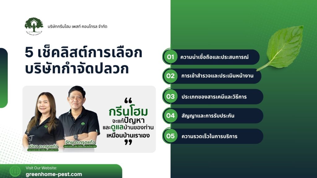 5วิธีเลือกบริษัทกำจัดปลวกที่ไหนดี