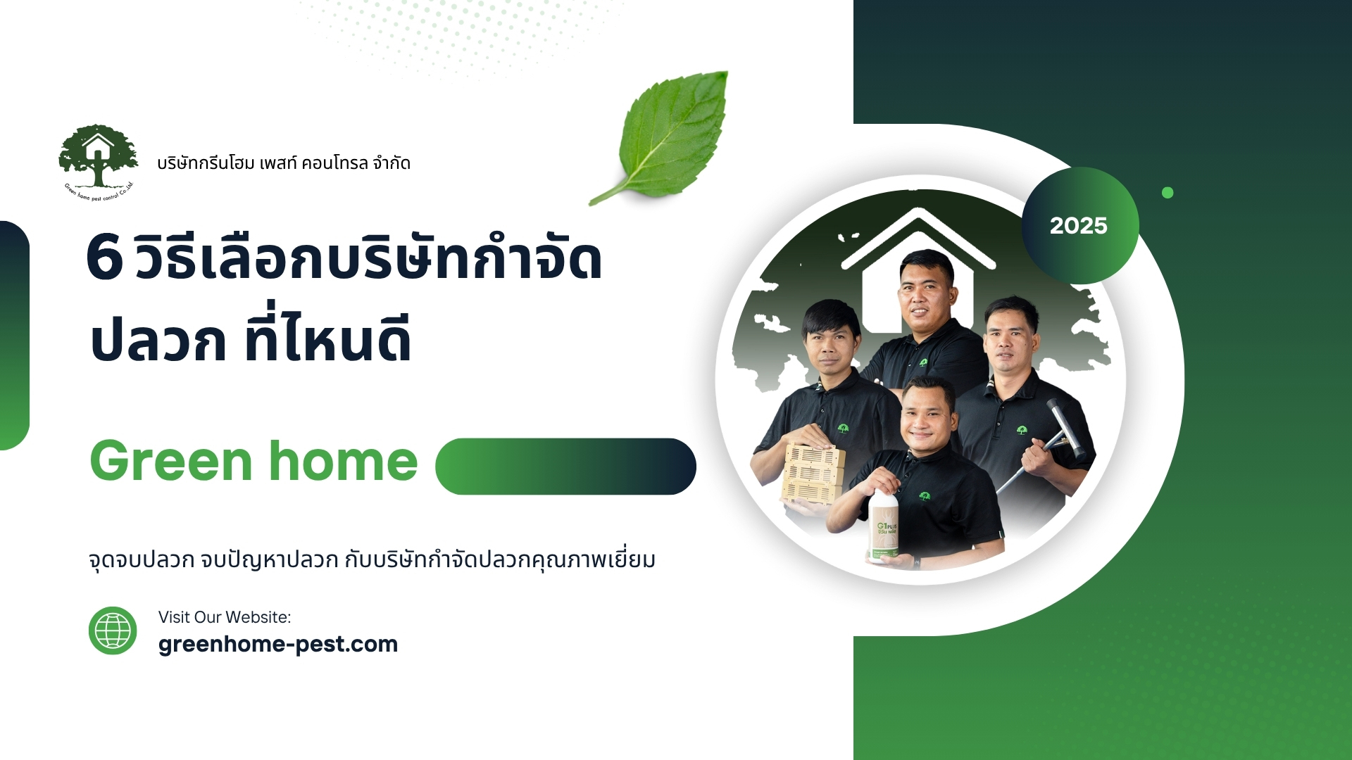 6วิธ๊เลือกบริษัทกำจัดปลวก ที่ไหนดี