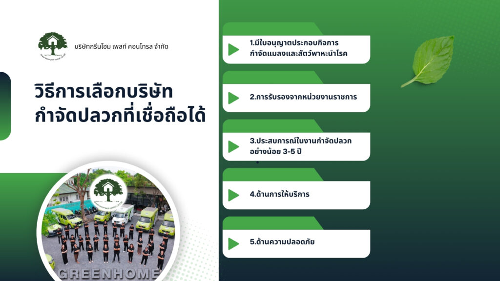 วิธีการเลือกบริษัทกำจัดปลวกอย่างปลอดภัยและเชื่อถือได้