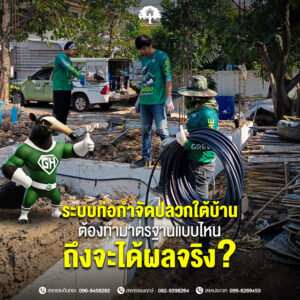 การวางระบบท่อกำจัดปลวกใต้บ้าน ต้องทำมาตรฐานแบบไหนถึงจะได้ผลจริง?