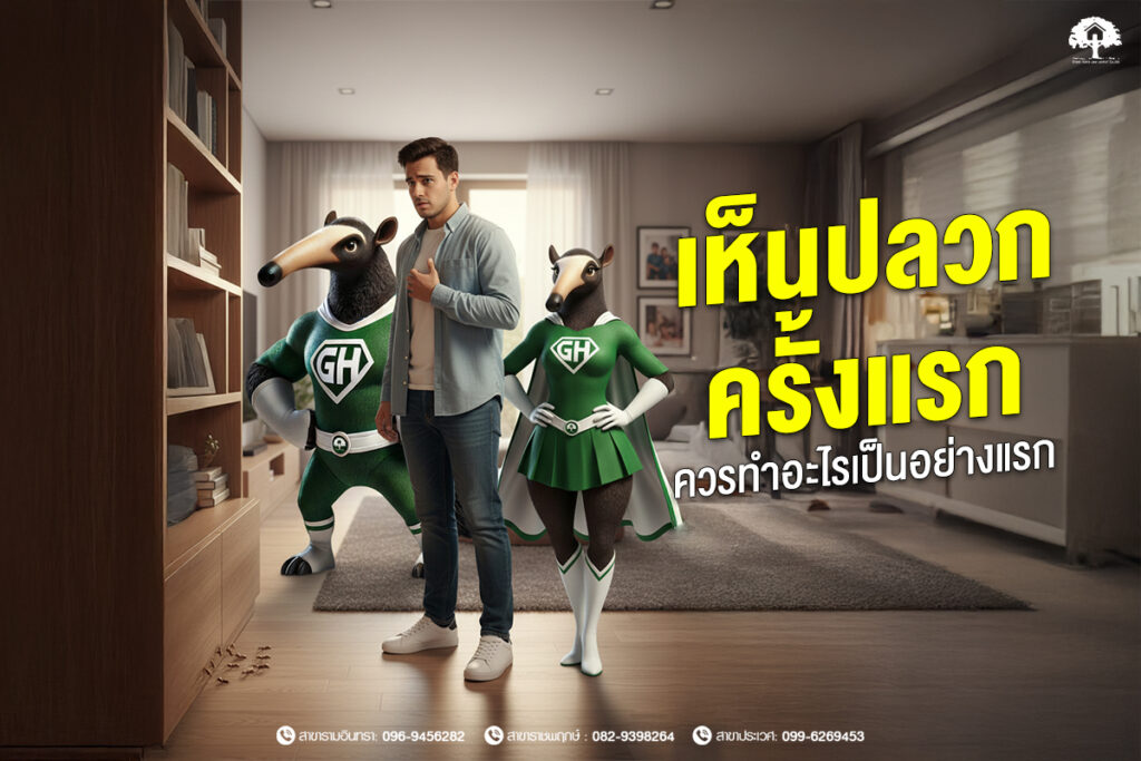 เห็นปลวกครั้งแรกควรทำอะไรเป็นอย่างแรก